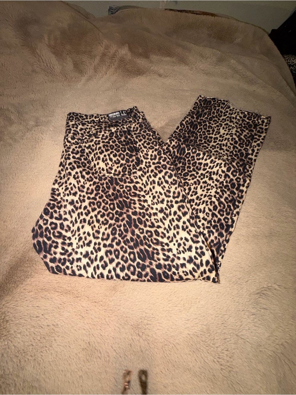 Leopard Print High-Rise Pants